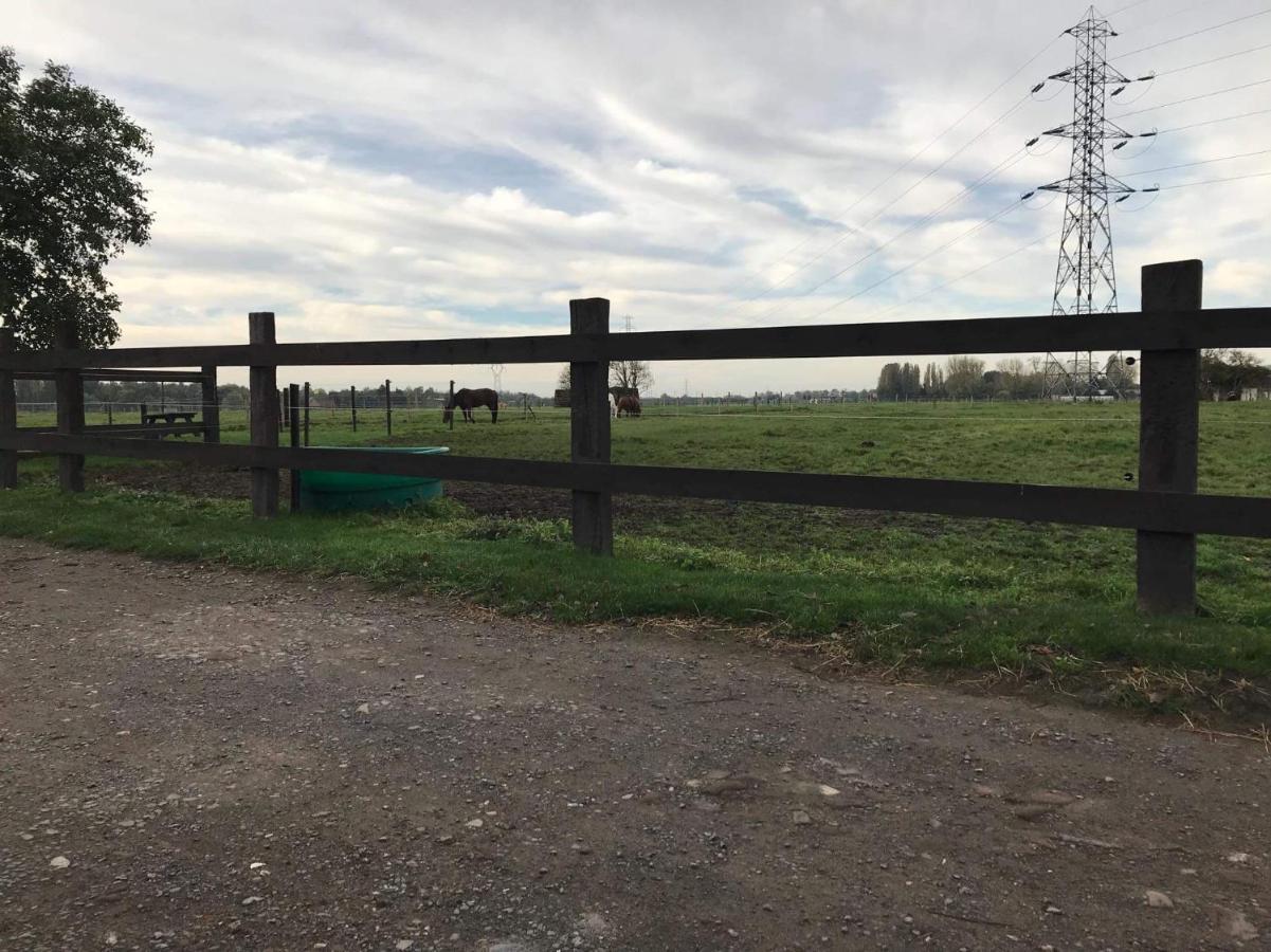 Ferme De La Forterie Verlinghem Экстерьер фото